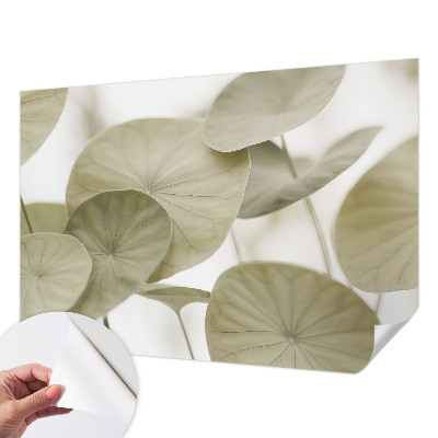 Tapeta fotograficzna o naturalnej elegancji