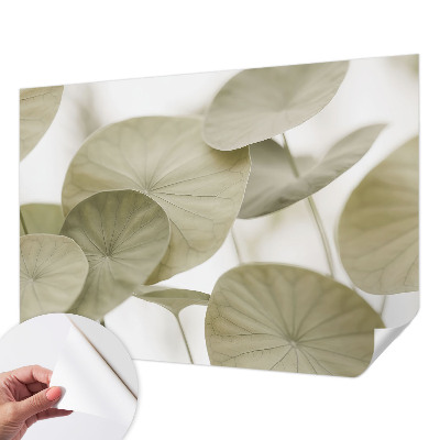 Tapeta fotograficzna o naturalnej elegancji