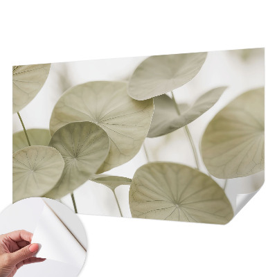 Tapeta fotograficzna o naturalnej elegancji
