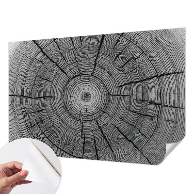 Tapeta fotograficzna Tapeta fotograficzna