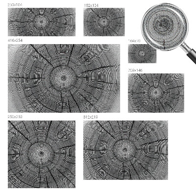 Tapeta fotograficzna Tapeta fotograficzna