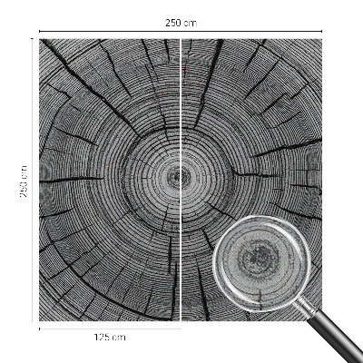 Tapeta fotograficzna Tapeta fotograficzna