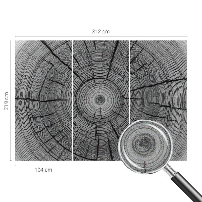 Tapeta fotograficzna z motywem zatopionego w zieleni lasu