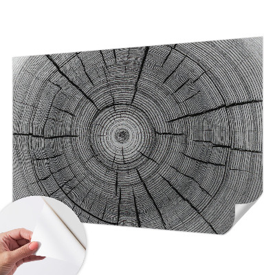 Tapeta fotograficzna Tapeta fotograficzna