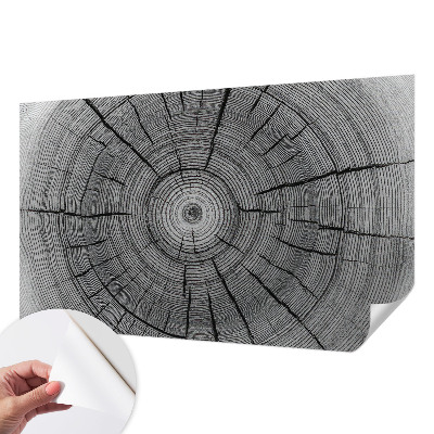 Tapeta fotograficzna Tapeta fotograficzna