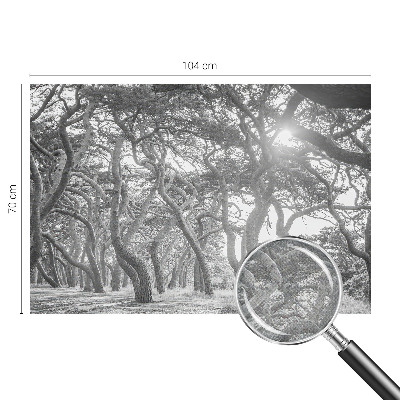 Fototapeta na ścianę Fototapeta na ścianę