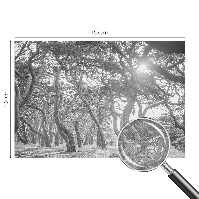 Fototapeta na ścianę Fototapeta na ścianę