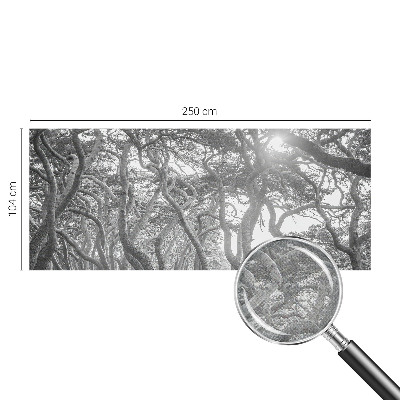 Fototapeta na ścianę Fototapeta na ścianę