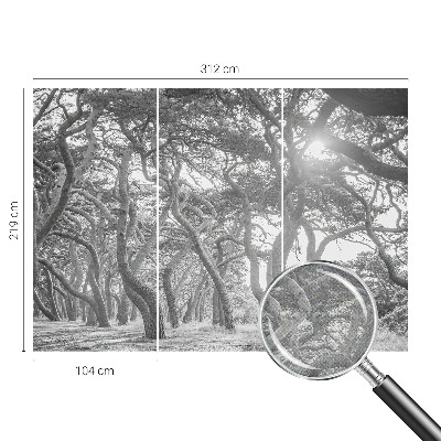 Fototapeta na ścianę Fototapeta na ścianę