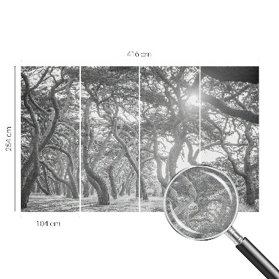 Fototapeta na ścianę Fototapeta na ścianę