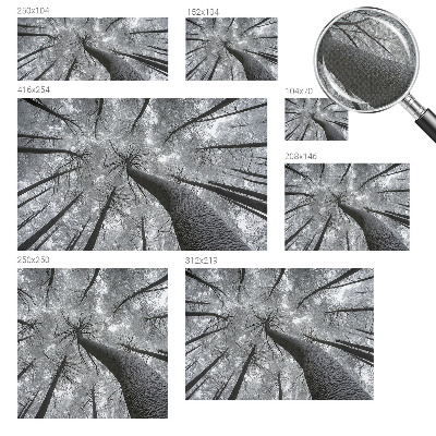 Dekoracyjna fototapeta na ścianę Dekoracyjna fototapeta na ścianę