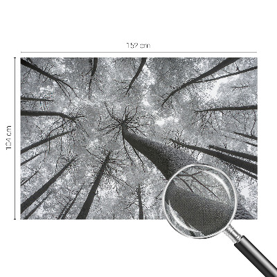 Dekoracyjna fototapeta na ścianę Dekoracyjna fototapeta na ścianę