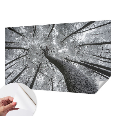 Dekoracyjna fototapeta na ścianę z motywem zimowego pejzażu