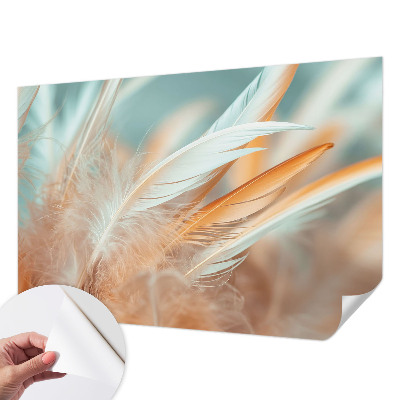 Tapeta fotograficzna z motywem delikatnych piór