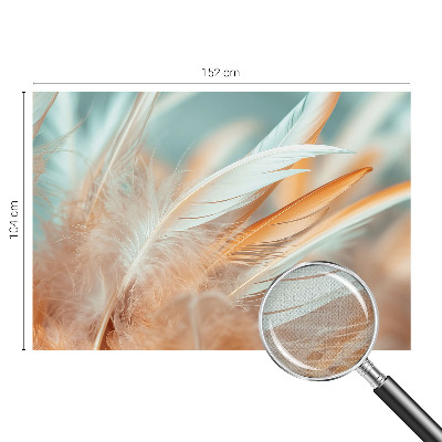 Tapeta fotograficzna z motywem delikatnych piór