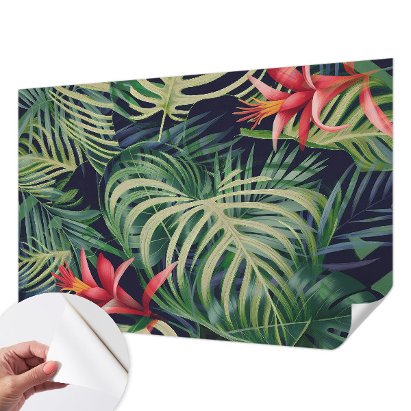 Tapeta fotograficzna Tapeta fotograficzna