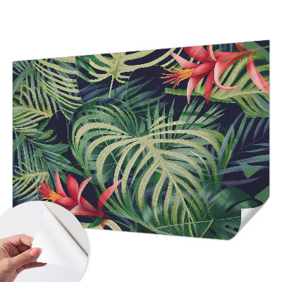 Tapeta fotograficzna Tapeta fotograficzna