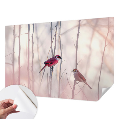 Dekoracyjna fototapeta na ścianę Ptasia para