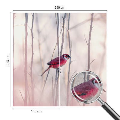 Dekoracyjna fototapeta na ścianę Dekoracyjna fototapeta na ścianę