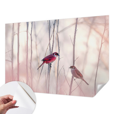 Dekoracyjna fototapeta na ścianę Dekoracyjna fototapeta na ścianę