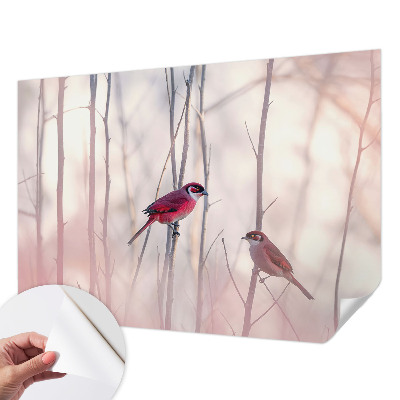 Dekoracyjna fototapeta na ścianę Dekoracyjna fototapeta na ścianę