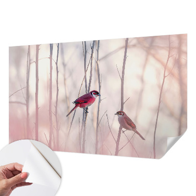 Dekoracyjna fototapeta na ścianę Dekoracyjna fototapeta na ścianę