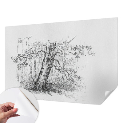 Fototapeta na ścianę Drzewo leśne