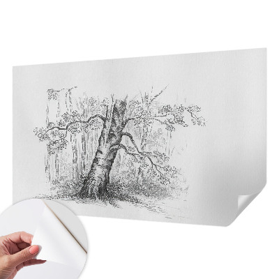 Fototapeta na ścianę z motywem drzewa leśnego