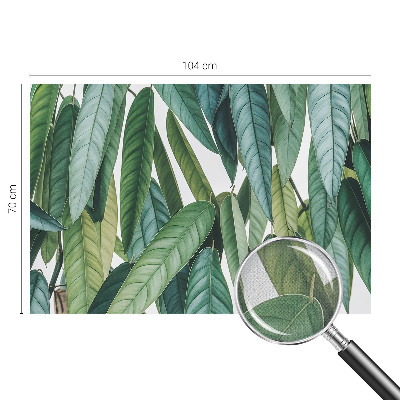 Tapeta fotograficzna Tapeta fotograficzna