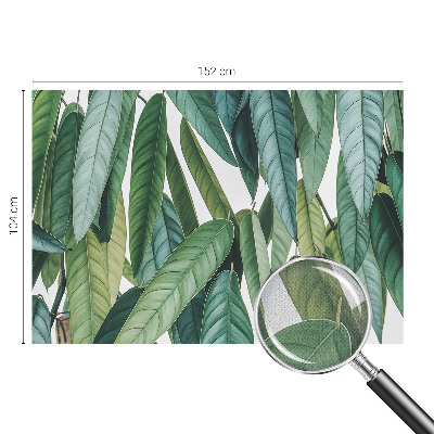 Tapeta fotograficzna Tapeta fotograficzna