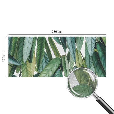 Tapeta fotograficzna Tapeta fotograficzna