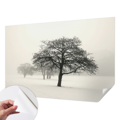 Dekoracyjna fototapeta na ścianę Zimowe drzewa