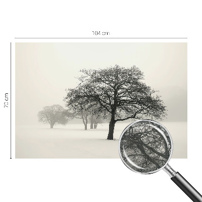 Dekoracyjna fototapeta na ścianę z motywem zimowych drzew