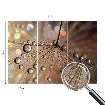 Fototapeta na ścianę Fototapeta na ścianę