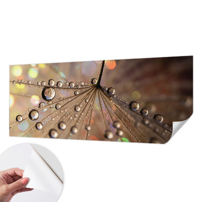 Fototapeta na ścianę Fototapeta na ścianę