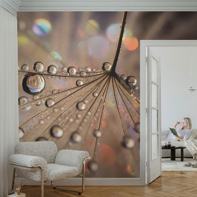 Fototapeta na ścianę z motywem perłowych kropel