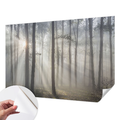 Fototapeta samoprzylepna do sypialni z motywem eterycznego lasu