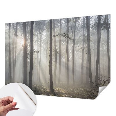 Fototapeta samoprzylepna do sypialni z motywem eterycznego lasu