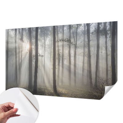 Fototapeta samoprzylepna do sypialni z motywem eterycznego lasu