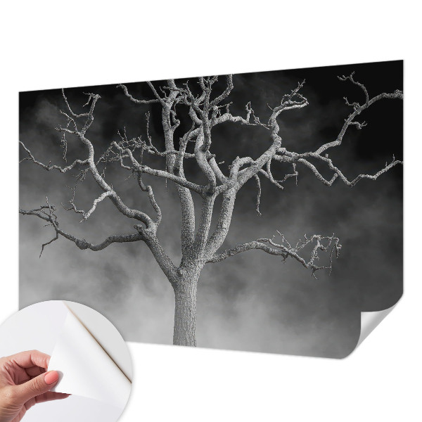 Fototapeta samoprzylepna do sypialni z motywem mglistych drzew