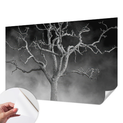 Fototapeta samoprzylepna do sypialni z motywem mglistych drzew