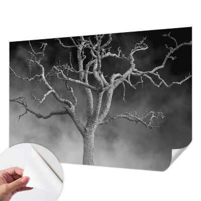 Fototapeta samoprzylepna do sypialni z motywem mglistych drzew