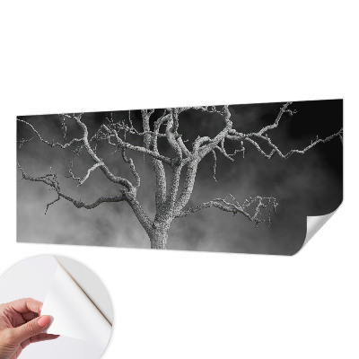 Fototapeta samoprzylepna do sypialni z motywem mglistych drzew