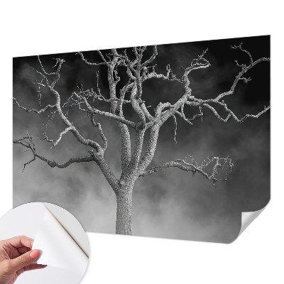 Fototapeta samoprzylepna do sypialni z motywem mglistych drzew