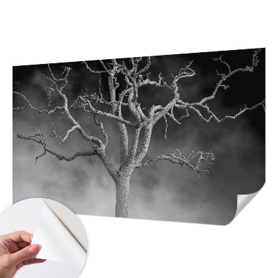 Fototapeta samoprzylepna do sypialni z motywem mglistych drzew