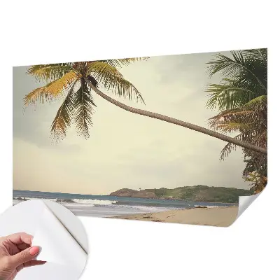 Fototapeta na ścianę z motywem tropikalnego pejzażu