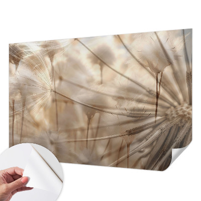 Nowoczesna fototapeta do salonu Subtelne dmuchawce