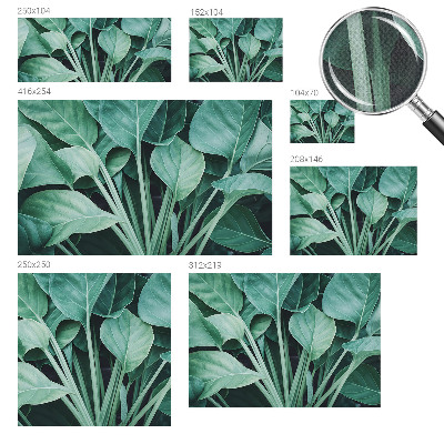 Fototapeta na ścianę Fototapeta na ścianę