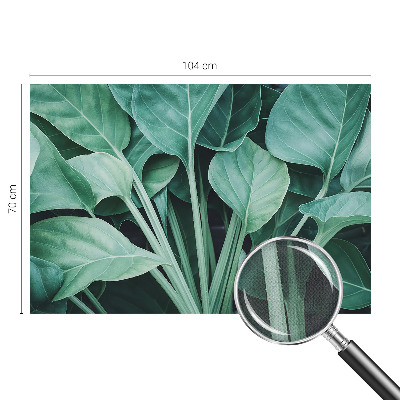 Fototapeta na ścianę Fototapeta na ścianę