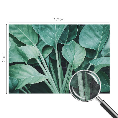 Fototapeta na ścianę Fototapeta na ścianę